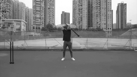 setforset giphygifmaker GIF