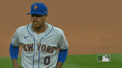 Ny Mets GIF by New York Mets