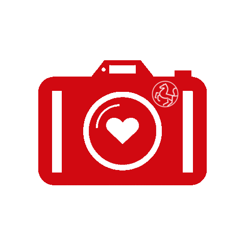 Photo Camera Sticker by rlg-online