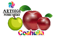 Apple Manzanas Sticker by Secretaría de Turismo y Desarrollo de Pueblos Mágicos de Coahuila