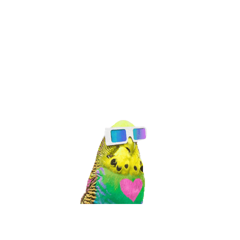 ProductividApp loro periquito muraby Sticker