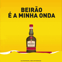 Party Friends GIF by Licor Beirão