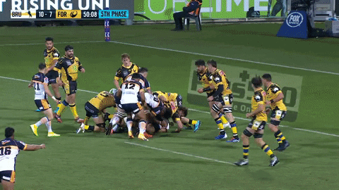 RUGBYdotcomau giphyupload GIF