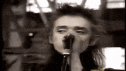 loves_in_vogue blixa bargeld einsturzende neubauten blixa GIF