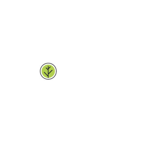 Money Tree Sticker by SR Inmobiliario