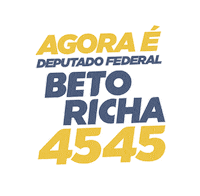 Parana Sticker by BetoRicha