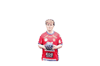 Handball H Sticker by hsg swrd