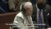 Testimony GIF by GIPHY News
