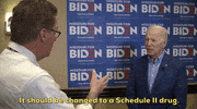 Joe Biden Marijuana GIF