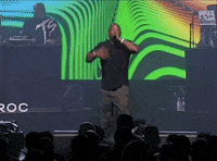 Ja Rule V Fat Joe GIF by VERZUZ