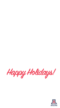 Frame Snowflake Sticker by The University of Arizona