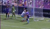 2025 GIF by National Women's Soccer League