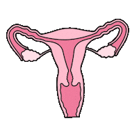 Uterus Sticker by Natural Cycles