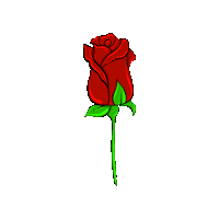 Flower Love Sticker by Outcage Sailing Yacht