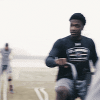 football shi GIF by gamecocksonline