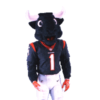 Football Not Listening Sticker by Houston Texans