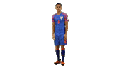 indianfootball bluetigers Sticker by Indian Super League