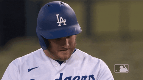 Regular Season Sport GIF by MLB