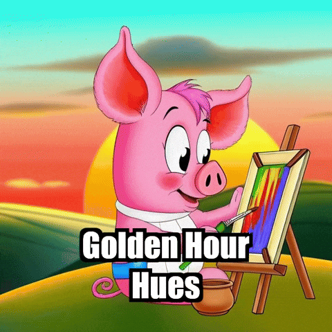 Art Sunset GIF by The Pigasso