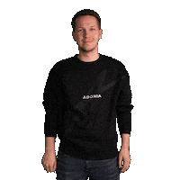 Harry Potter Trick Sticker by adoniadeutschland