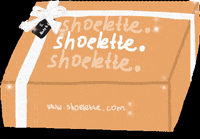 shoelette unboxing packing shoelette GIF