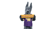 Great Dane Damien Sticker by UAlbany