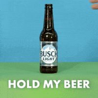 Hold My Beer Busch Light GIF by Busch Beer