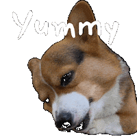 Corgi Milo Sticker