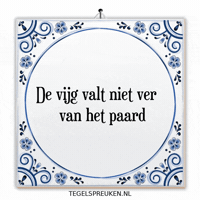 Nl Wijsheid GIF by Tegelspreuken.nl