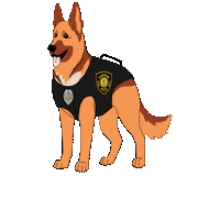 Ppd Sticker by Plantation Police