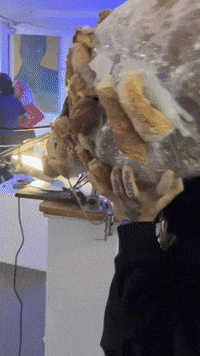 Show Performance GIF by Alex Boya