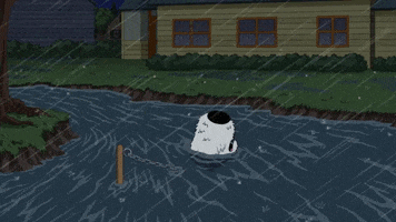 Water Drowning GIF by Family Guy
