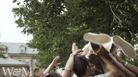 Celebration College GIF by William & Mary