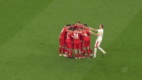 Kiel Ahoi GIF by Holstein Kiel