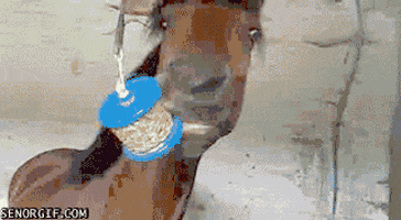 horse eating GIF by Cheezburger