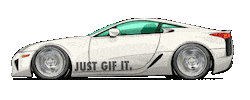 Car Racing Sticker