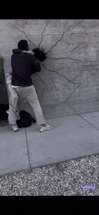 prixidy wall prixidy eyosis kamanzi GIF