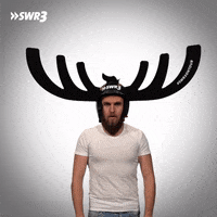 Party Yelling GIF by SWR3