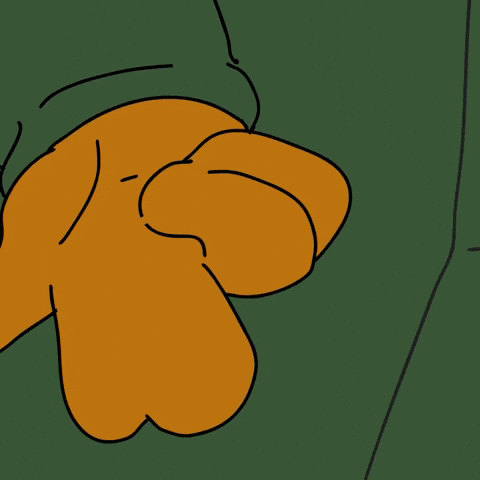 Lets Go Omg GIF by Ponke