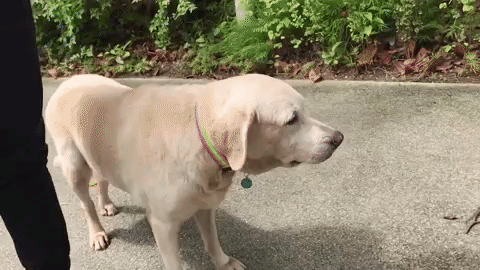 GIF by Mashable