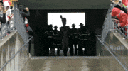Ohio State Osu GIF by Ohio State Athletics