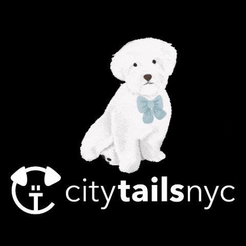 GIF by City Tails NYC