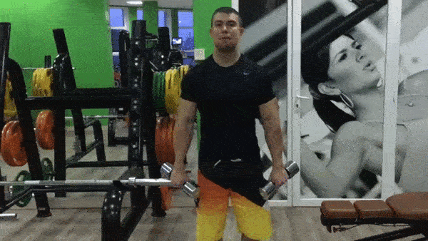 bodybuilding-and-fitness giphyupload biceps zottman sgibaniya GIF