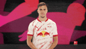 Rb Leipzig Flowers GIF by Bundesliga