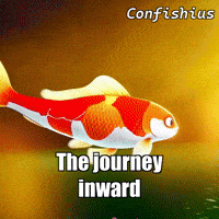Wisdom Glow GIF by TheConfishius