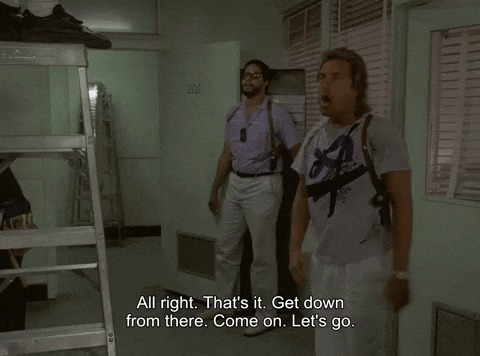 Lets Go Crockett GIF by Goldmaster