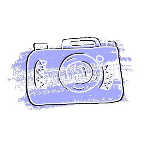 Camera Sticker