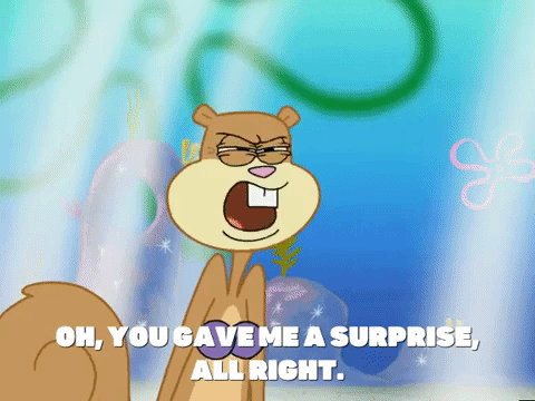 season 5 GIF by SpongeBob SquarePants