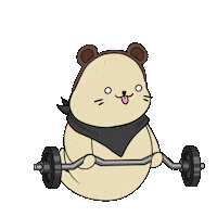 Surprised Work Out Sticker by Sappy Seals Community