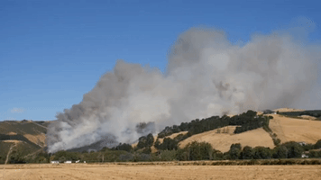 Firefighters Struggle to Contain Bushfires Burning Near Christchurch